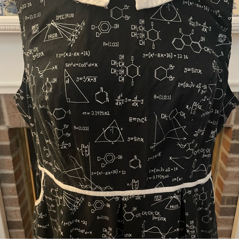 Retrolicious Black and White Collared Midi Dress - Picture 4 of 9